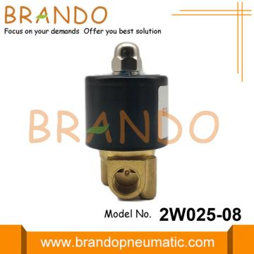 1/4 &#39;&#39; 2W025-08 Pirinç Solenoid Valf Su 24V 220V