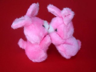 couble kissing rabbit  SN-027