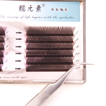 12 Rows Of Individual Eyelash Extensions