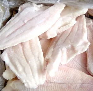 Frozen Channel Catfish Fillets (704)