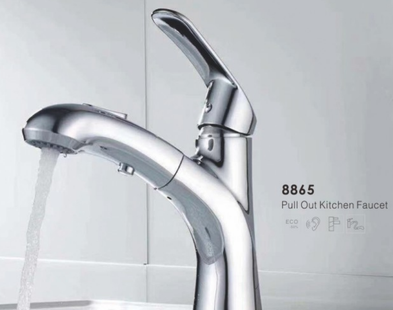 Pull out Kitchen Faucet 8865