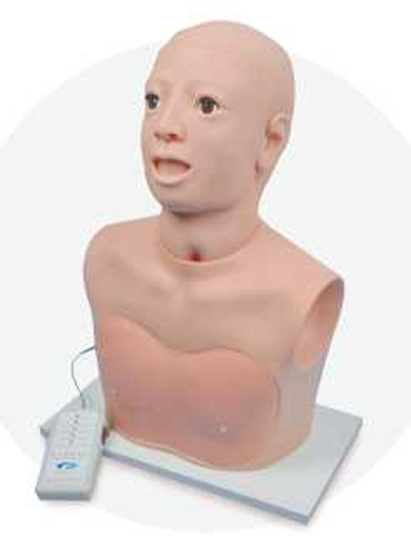 Nasal Cavity Examination Model
