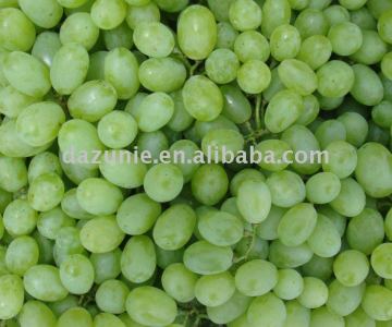 Victoria Green Grape