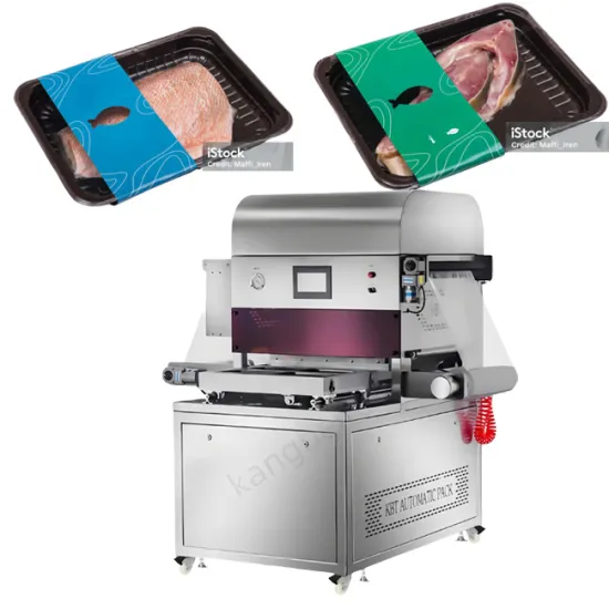 CE Certified KBT450A Smart Auto Vacuum Packer for Meat