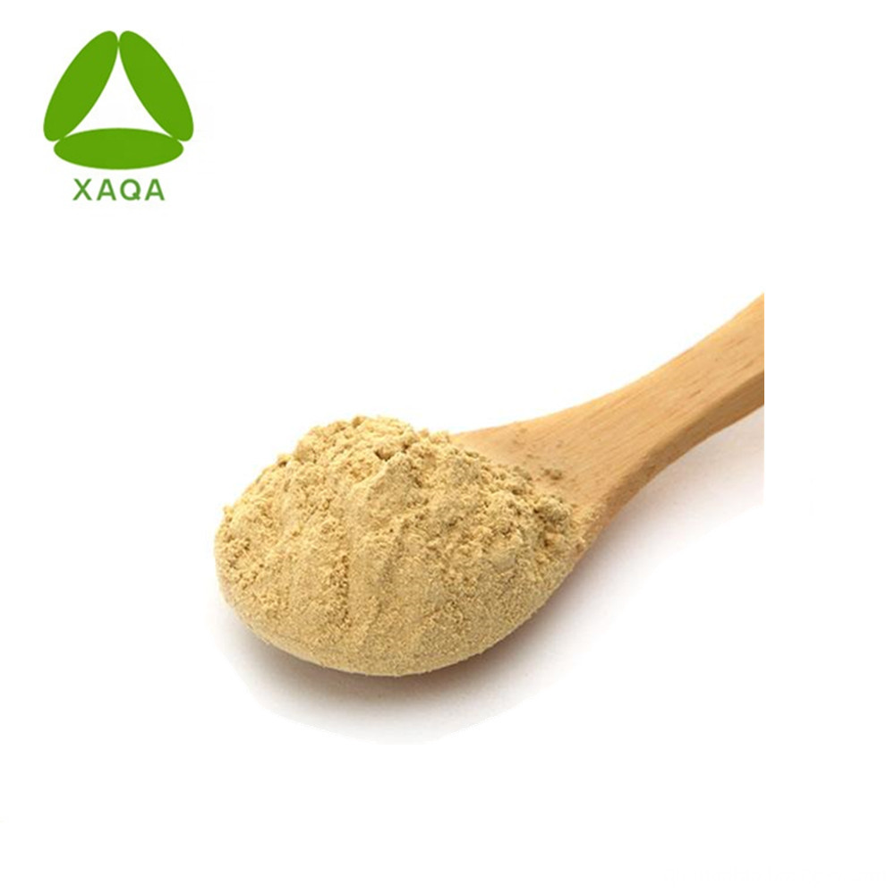 Pure Natural Orange Extract 90% Hesperidin Powder