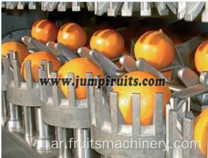 NFC Fruit Orange Juice Line Machinery