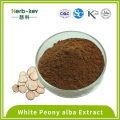 40% Paeoniflorin brownish yellow powder