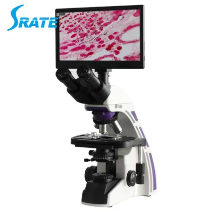 1600X Binocular Biological Laboratory Microscope for Research