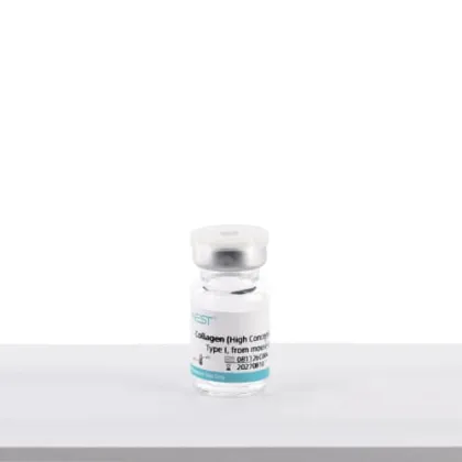 Collagen, Type I