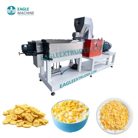 Jinan Eagle Round Corn and Potato Chips Production Line for Snack Food Processing