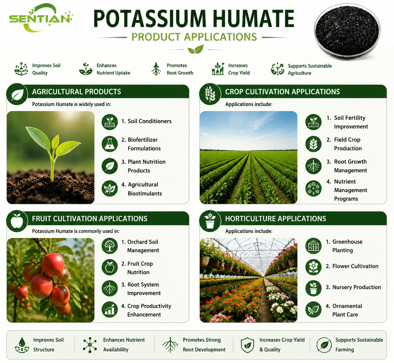 Potassium Humate（2）
