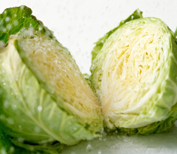 2014 Fresh Cabbage