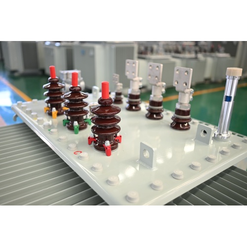 S22-M-1600 Transformer di potenza immerso nell'olio da olio da 10kV