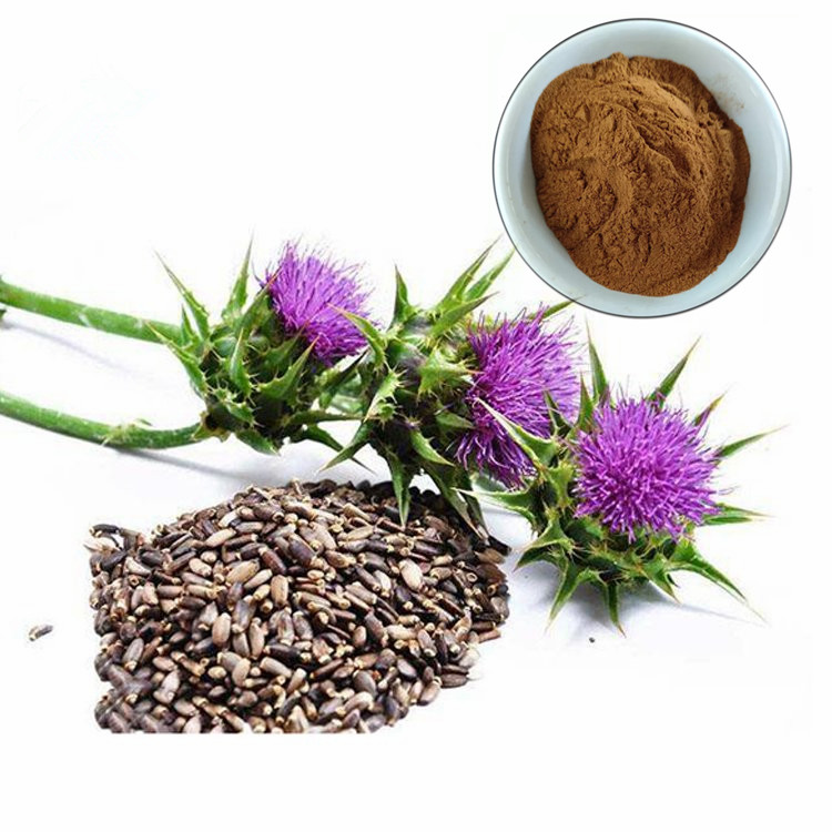 Silymarin Milk Thistle Extract