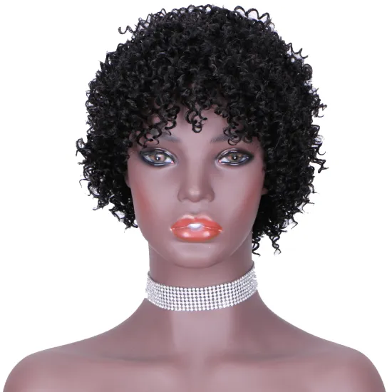 Hot Sell Best Human Hair Wigs Bouncy Kinky Curly Hair Brazilian Short Curly Wigs Jerry Curl Pixie Cut Wigs Human Hair