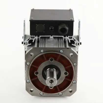 Permanent Magnet Synchronous Motor for Electric Vehicles