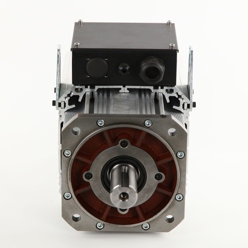 Permanent Magnet Synchronous Motor for Electric Vehicles