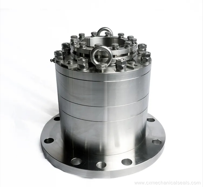 Custom agitators mixers Mechanical Seal
