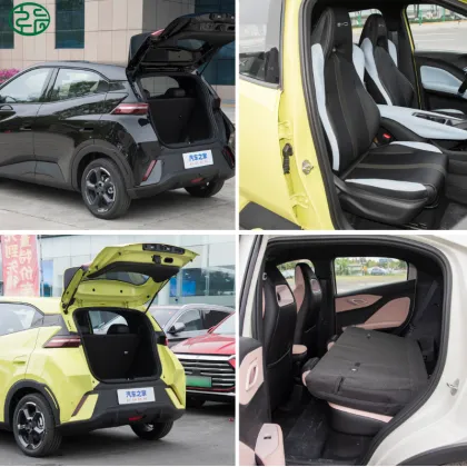 2025 BYD Seagull New Energy Vehicle: Small Adult Car Overview