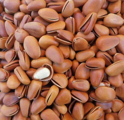 Delicious Open Pine Nuts