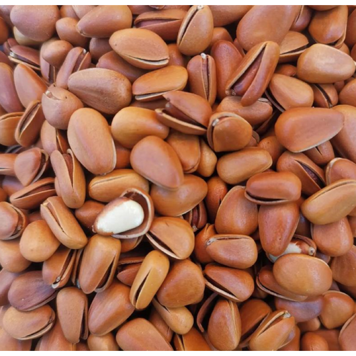 Deliciosos pinhões abertos