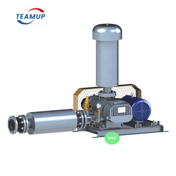 High Pressure Three Lobe Air Blower for Fish Farms in Shandong