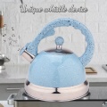 Sky Blue Mirror Stainless Steel Whistling Tea Kettle