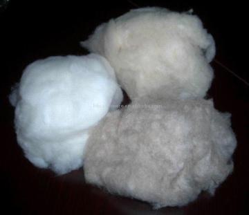 Cashmere, Cashmere Tops, Wool, Wool Tops, Wool Waste