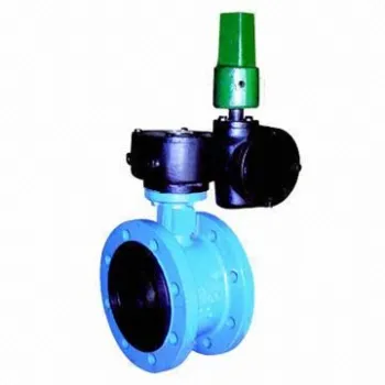 Butterfly valve, disc-shaped