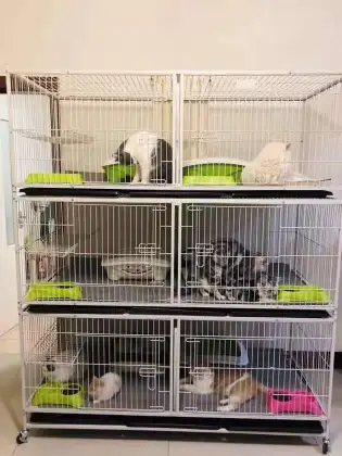 Customizable Foldable Movable Cat Cage - Large Breeding Cages for Small Pets