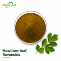 Hawthorn Leaf Flavonoids 33% Natural Extract for Antioxidant Support