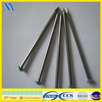 square head roofing nail/lead head nail/oval head nails