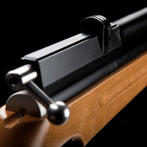 PCP Air Gun Rifle M22