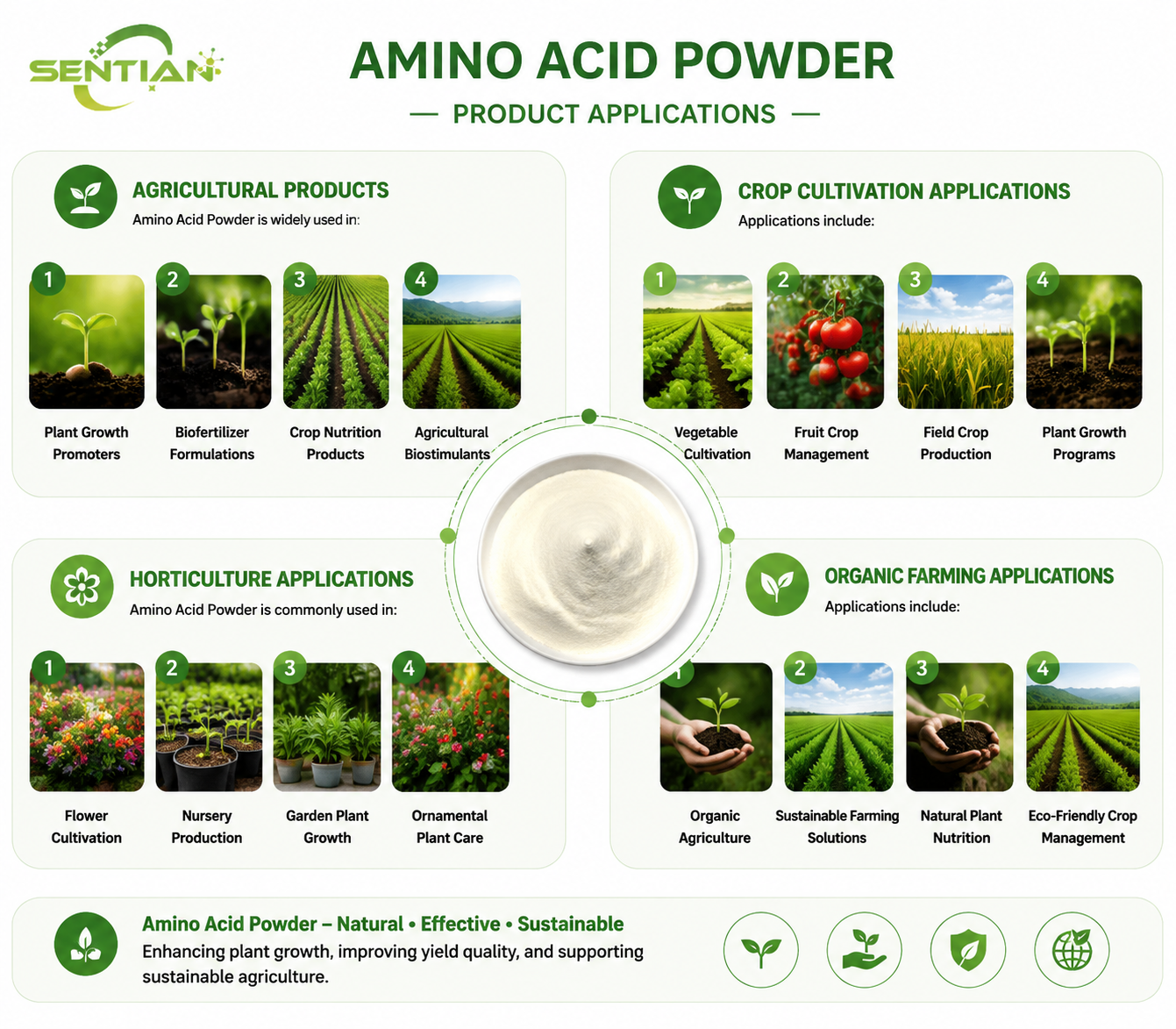 Amino Acid Powder（2）