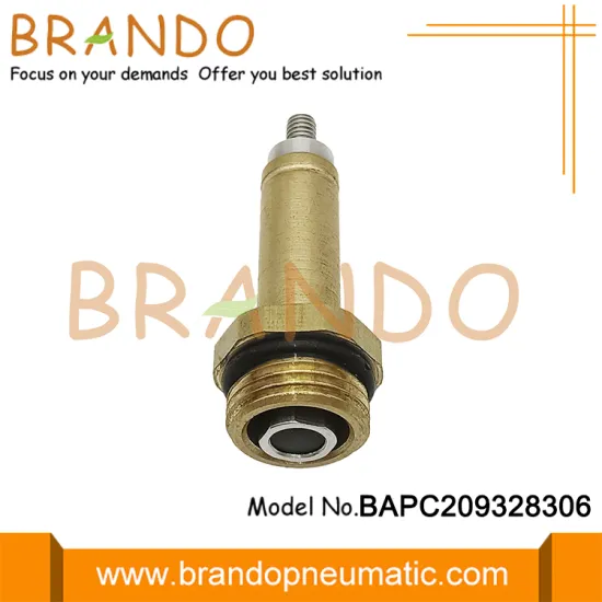 2/2 Way Brass LPG Solenoid Valve Plunger Assembly