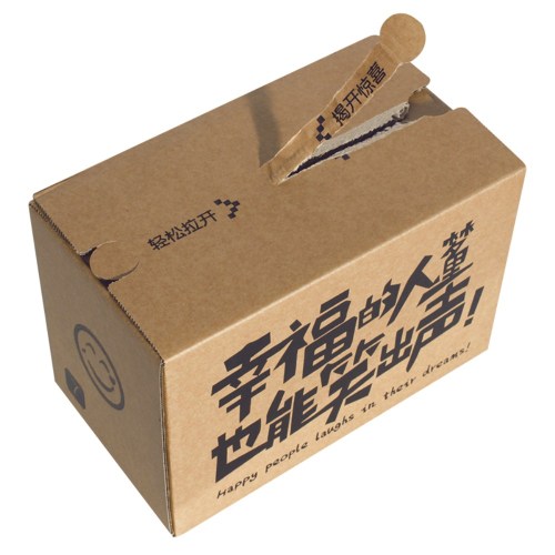 printed zipper carton box