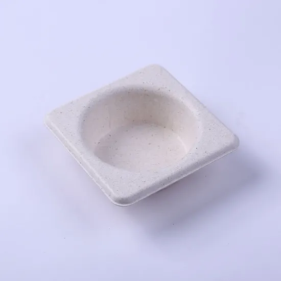 Eco friendly biodegradable sugarcane bagasse food container