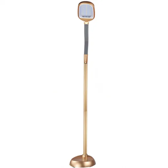 Eye-protected Standing Floor Lamp With Bulb SL 8002