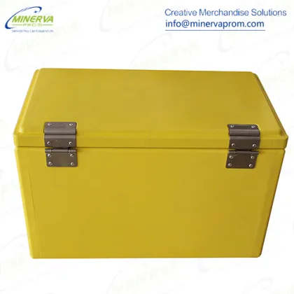 20 Liters Metal Toolbox Cooler
