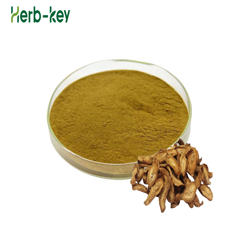 Arctio Lappa Bulk Burdock Raiz Extrato Arctiin Powder