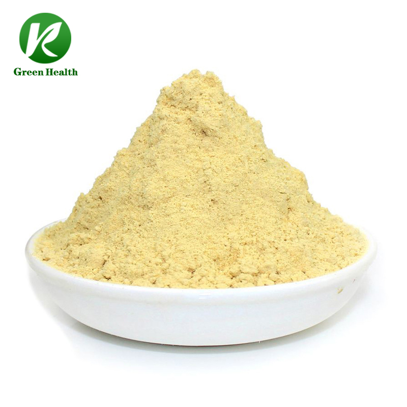 OEM/ODM Hot Selling Sports Supplement Nutritional Energy Support Whey Protein Gym Protein Powder