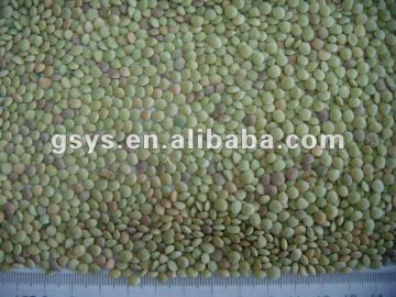 Chinese lentils