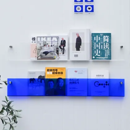 Klein Blue Acrylic Bookshelf: A Minimalist Style Bookstore Decor and Wall Bookshelf