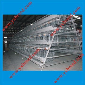 Ladder Type Egg Chicken Cage