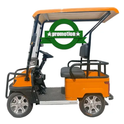 Electric Golf Carts and UTVs: Cheap Prices on 4-Wheel Buggies and Mini Cars