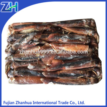 price frozen fish WR Illex Squid ( Illex argentinus) for market