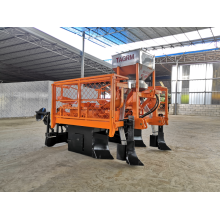 Tagrm quente vendendo 2 fileiras máquina de plantação de cana-de-açúcar