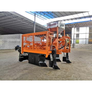 Tagrrm Hot Selling 2 Rader Sugarcane Planting Machine