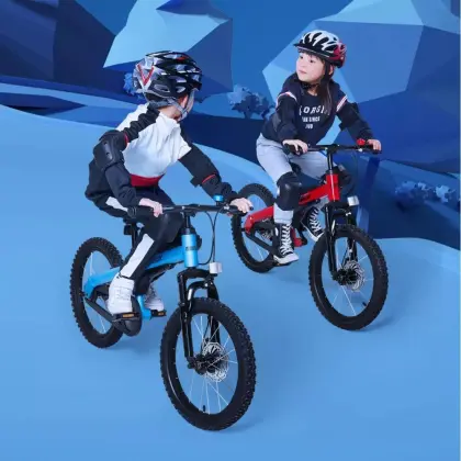 Ninebot 18 inch Kids Bikes Sport Bicycles Children