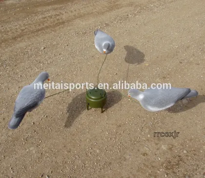 Feeding Dove dedoys